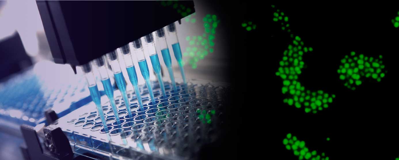 High-throughput laboratory equipment